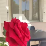Pepi House בית נופש