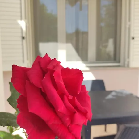 Pepi House בית נופש