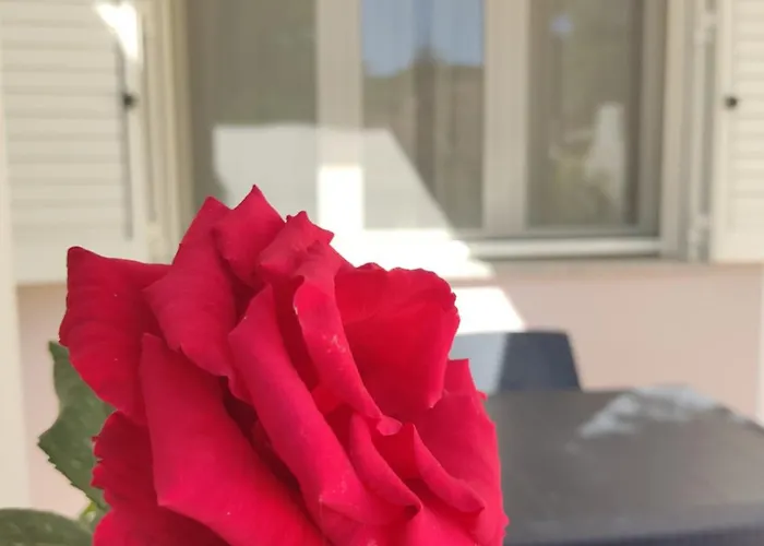 Pepi House בית נופש